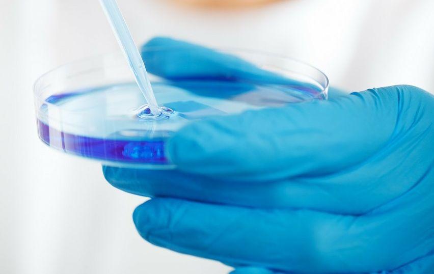 瑞士生物科技公司Numab Therapeutics研发多特异性抗体药物，提升癌症与炎症治愈率 | 瑞士创新100强